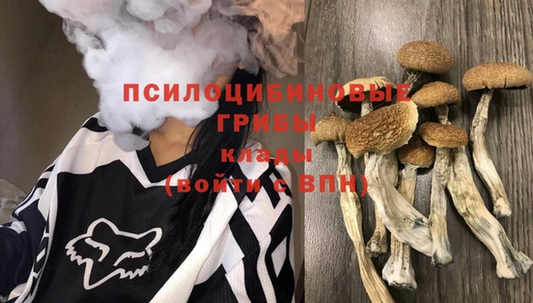 эйфоретик Абинск