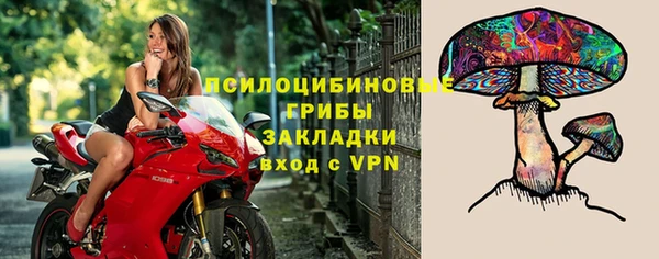 2c-b Бутурлиновка